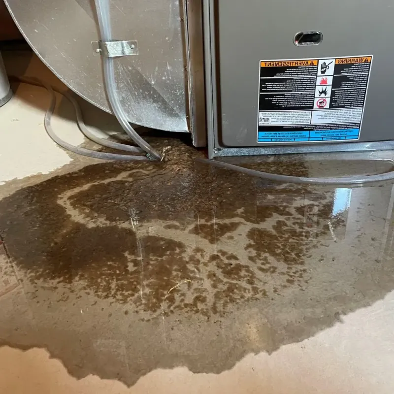 Pipe Burst and Leak Restoration in Whitefield, ME
